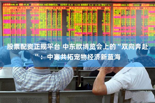 股票配资正规平台 中东欧博览会上的“双向奔赴”：中塞共拓宠物经济新蓝海