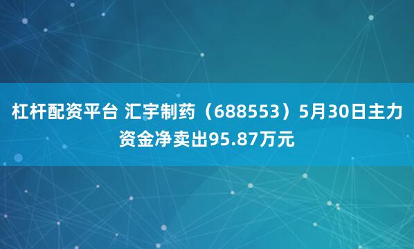 杠杆配资平台 汇宇制药（688553）5月30日主力资金净卖出95.87万元